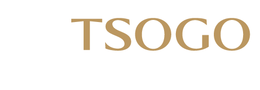 playtsogo